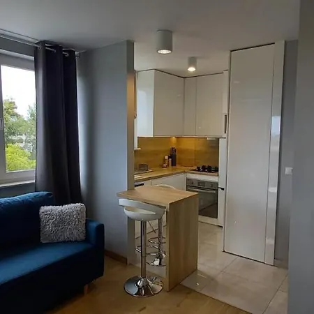 Mieszkanie, Apartament Z Przepieknym Widokiem, Blisko Starowki, Plazy Gdansk Exterior photo